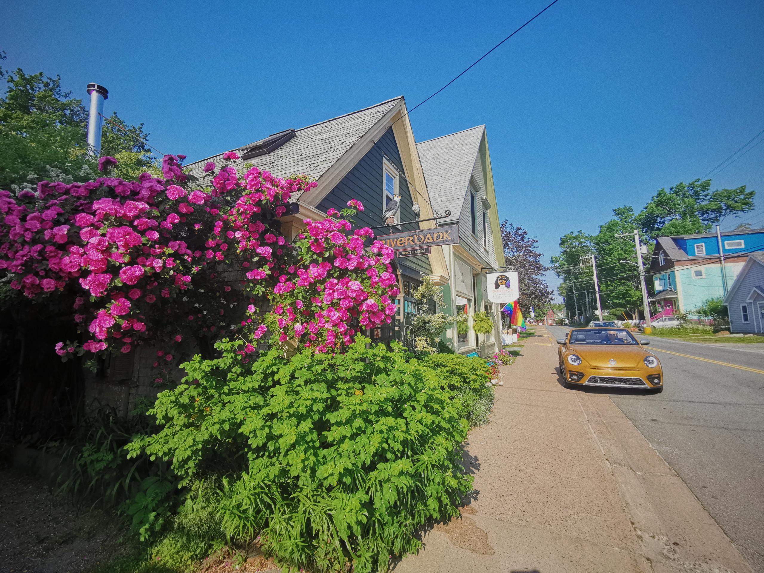 Mahone Bay